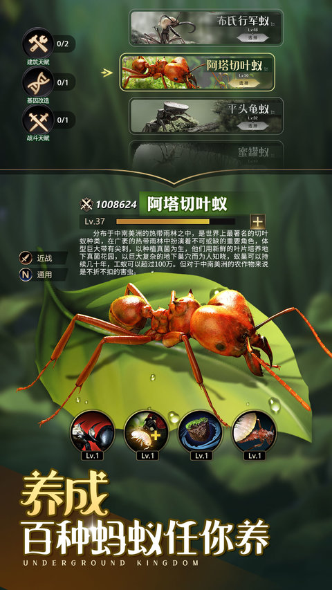 小小蚁国正版手游