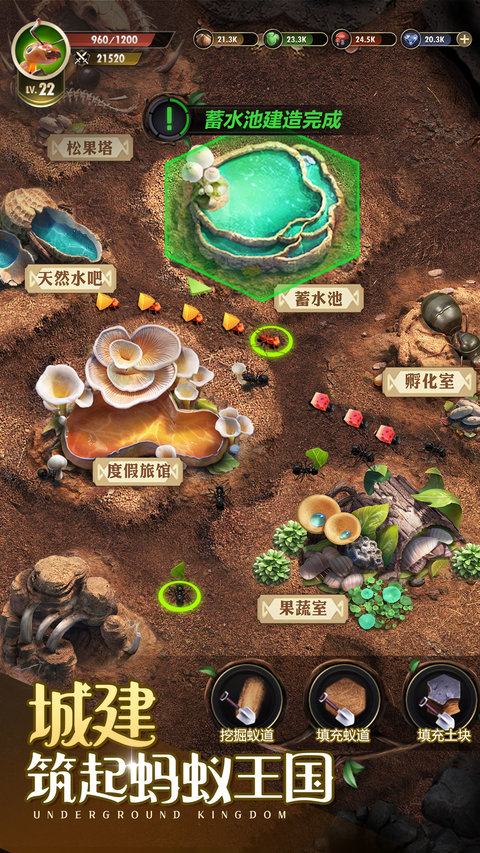 小小蚁国正版手游