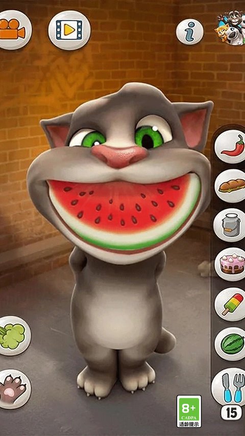 会说话的汤姆猫免费版