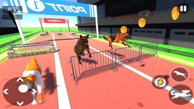 Dog Race 3d(狗狗赛跑3D)