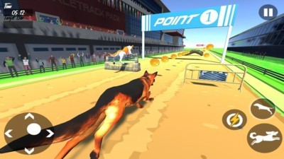 Dog Race 3d(狗狗赛跑3D)
