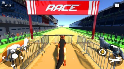 Dog Race 3d(狗狗赛跑3D)