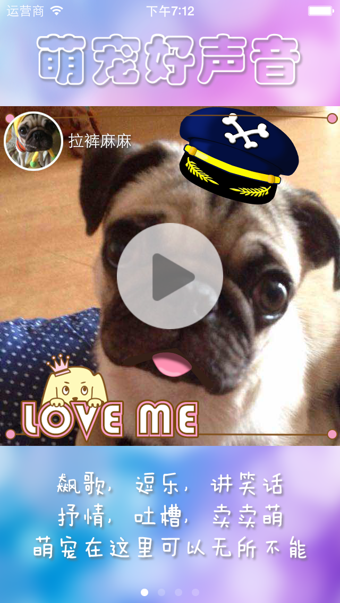 宠物说