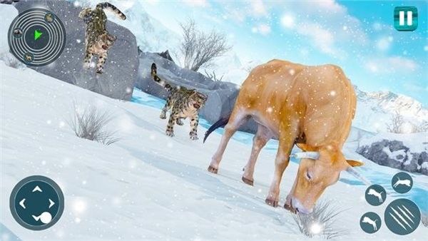 野生雪豹模拟器Snow Leopard