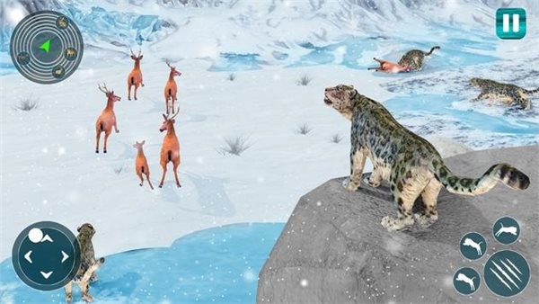 野生雪豹模拟器Snow Leopard