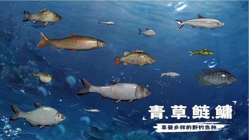 天天钓鱼最新版本