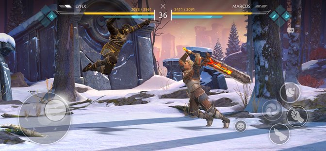 shadow fight arena手游