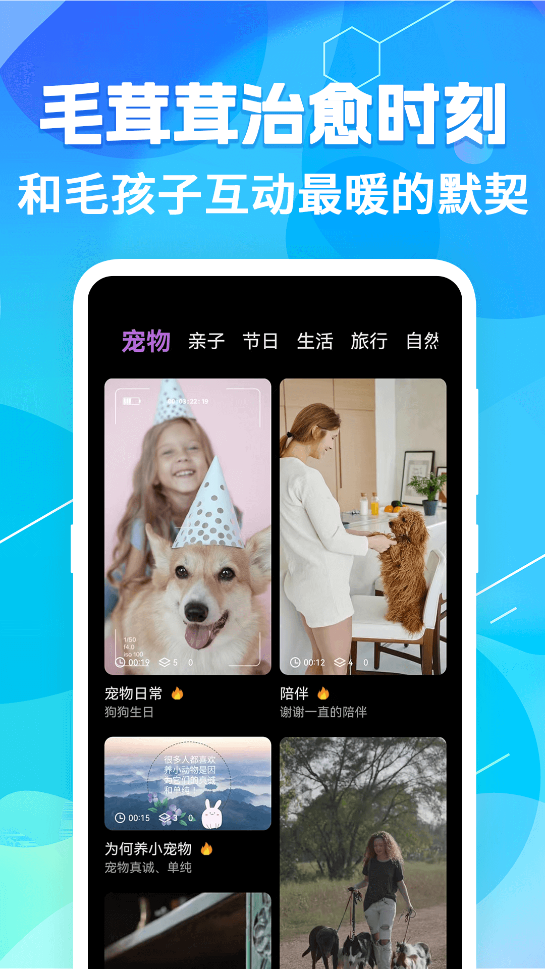 猫语翻译pet
