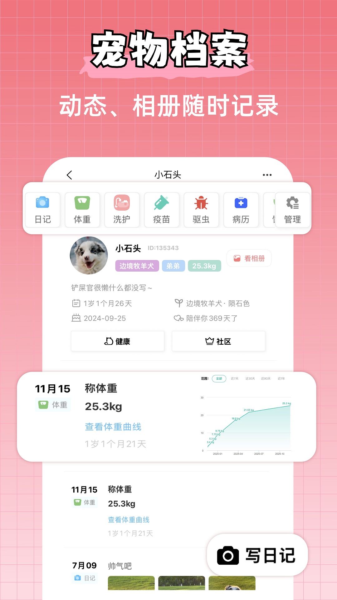 宠物王国
