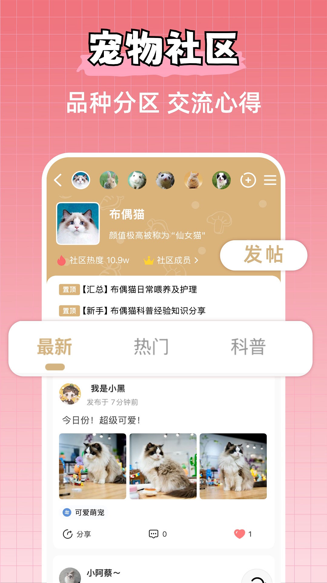 宠物王国