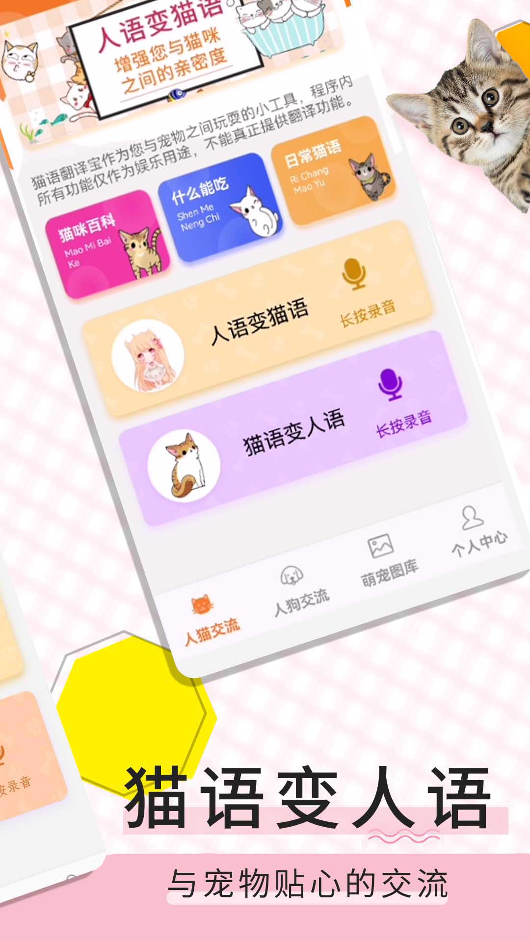 猫语翻译宝