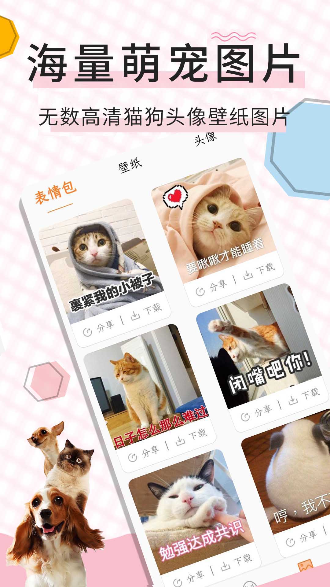 猫语翻译宝